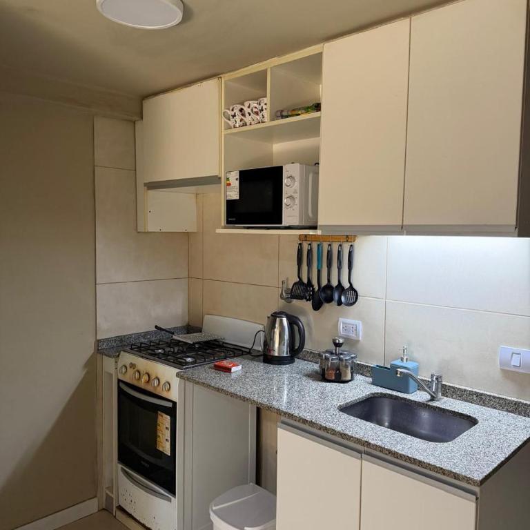 Amplio departamento - Barrio Sur - Apartamento de 1 dormitorio - 4