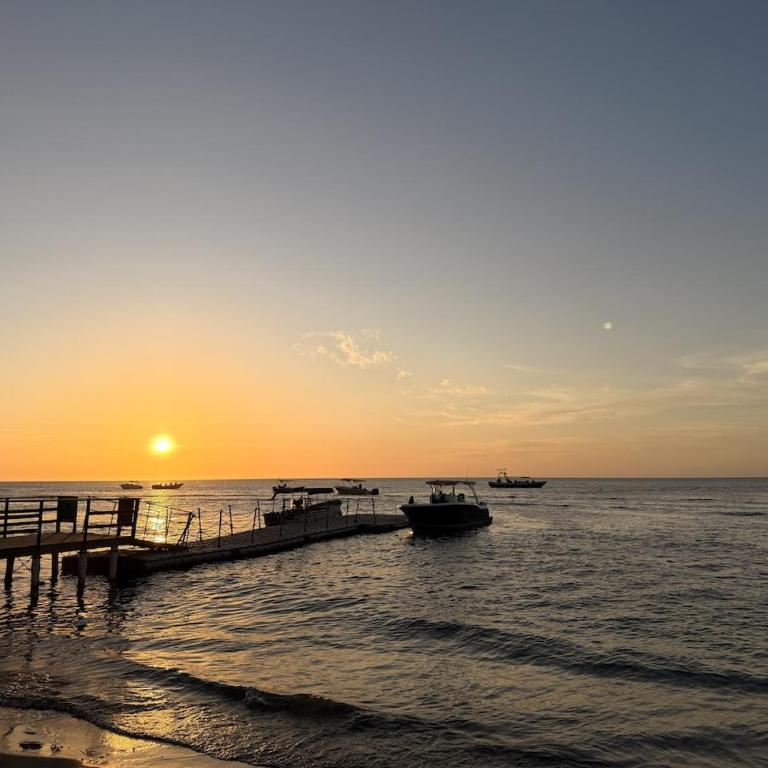 Tu Hogar Tropical Junto al Mar Caribe - One-Bedroom Apartment - 43