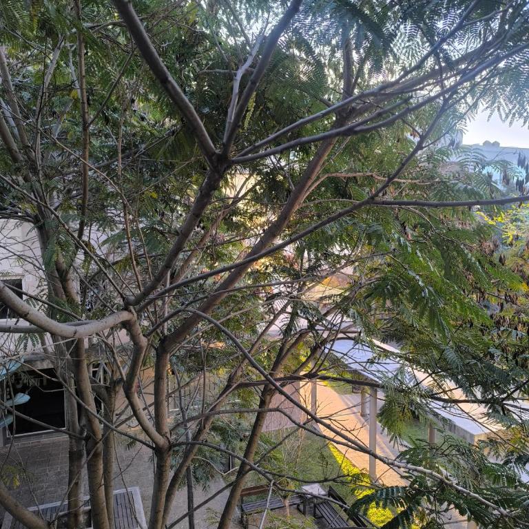 Mirador del Pacará - Apartamento de 1 dormitorio - 1