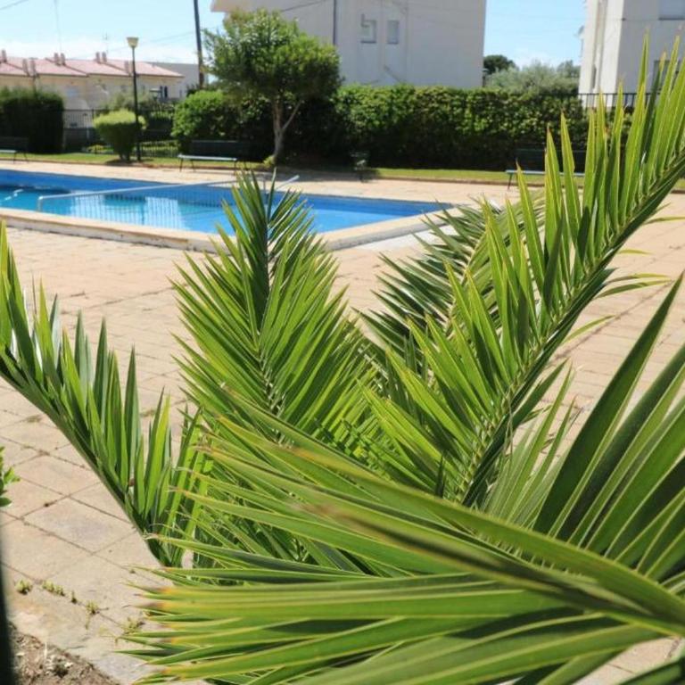 Alojamiento tranquilo en la Costa Brava - ES-258-196 - Apartamento - 1