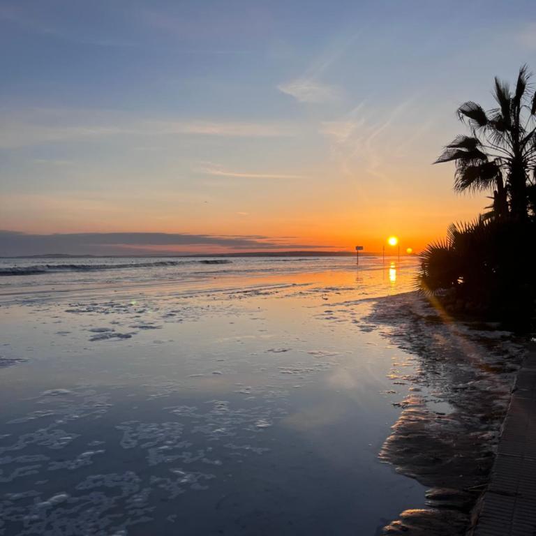 Piso totalmente reformado en primera línea de playa - Apartamento de 3 dormitorios - 21