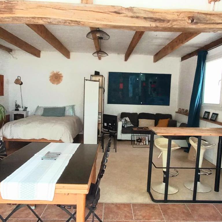 Les Jasmins - Appartement 1 Chambre - 1