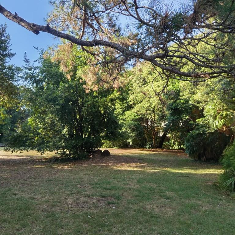 Lina House Garden - Two-Bedroom Townhouse - 21