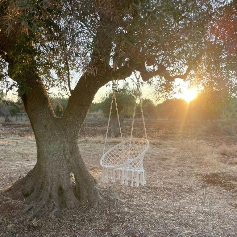 Villa Terra Luce - Villa con 2 Camere da Letto - 10