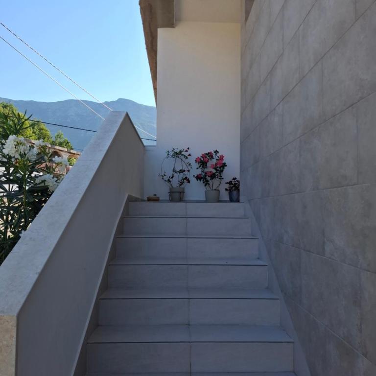 Apartmani Šćekić - Apartman sa 1 Spavaćom Sobom - 26