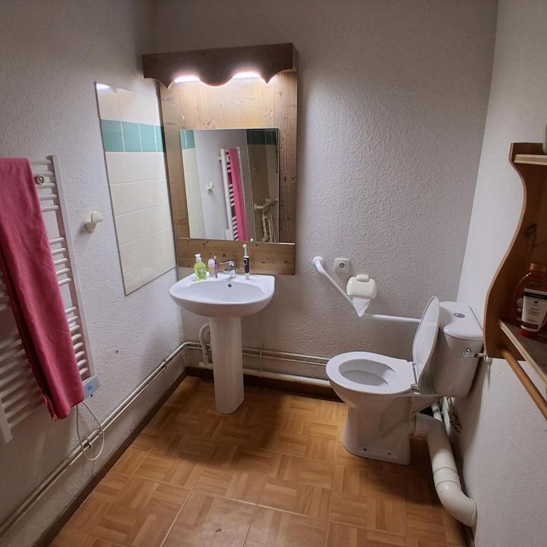 Chamrousse appartement lumineux pour echapper a la chaleur estivale - Apartment mit 2 Schlafzimmern - 8