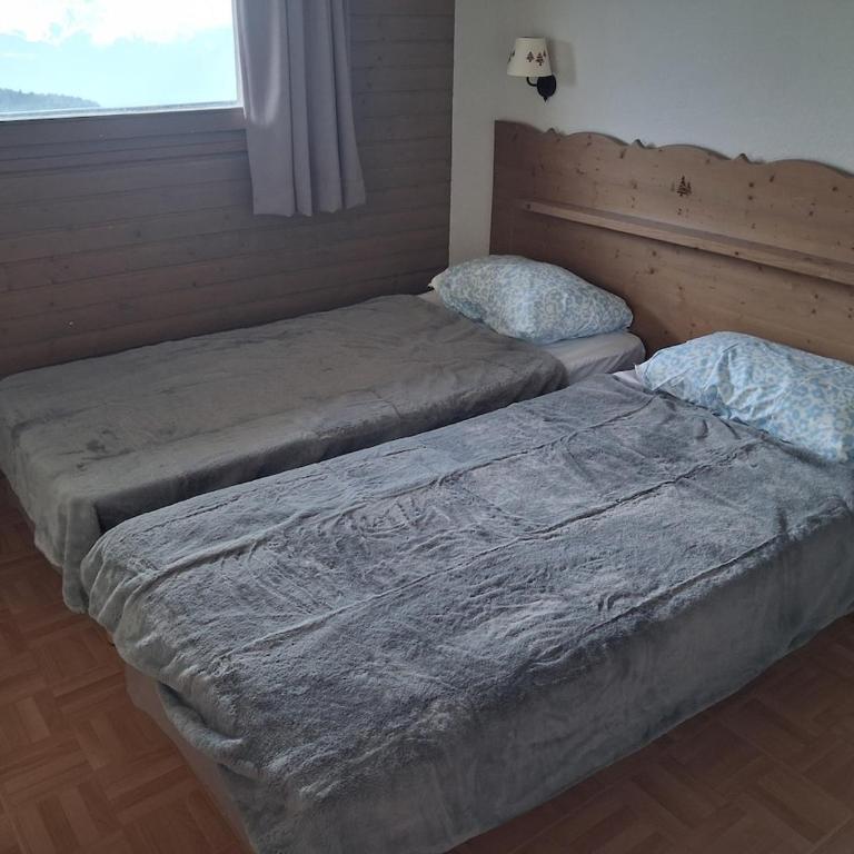 Chamrousse appartement lumineux pour echapper a la chaleur estivale - Apartment mit 2 Schlafzimmern - 16