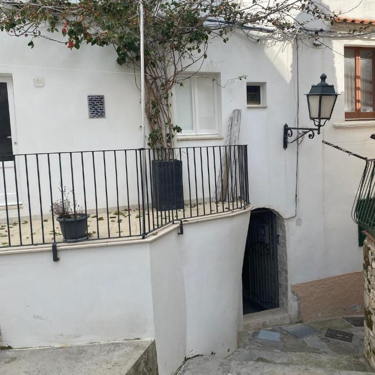 Novecento Belvedere Suite - Appartamento con 1 Camera da Letto - 2