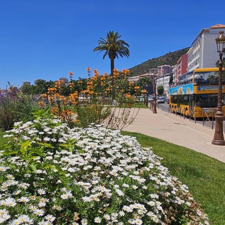 Casamea - T3, 150m Plage, Clim - Appartement 2 Chambres - 24