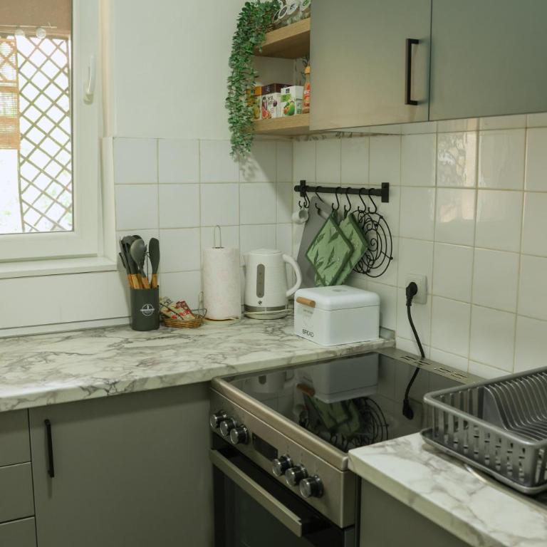 Green Paradise - Appartement 1 Chambre - 33