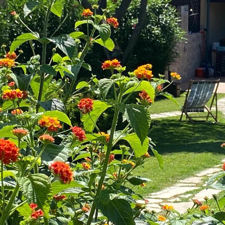 Villetta con giardino sulla Spiaggia della Pelosa - Casa con 2 Camere da Letto - 28