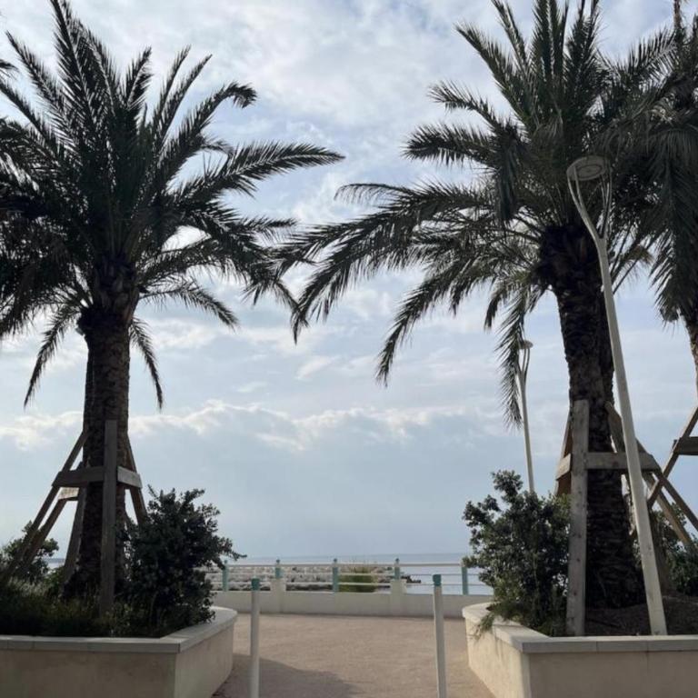 LIONS 1BDR Croisette just a stone's throw away - Appartement 1 Chambre - 8