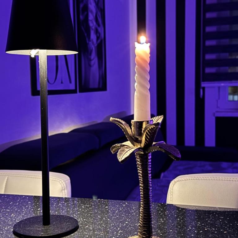 Una Residence Bihać - Apartman sa 1 Spavaćom Sobom - 8