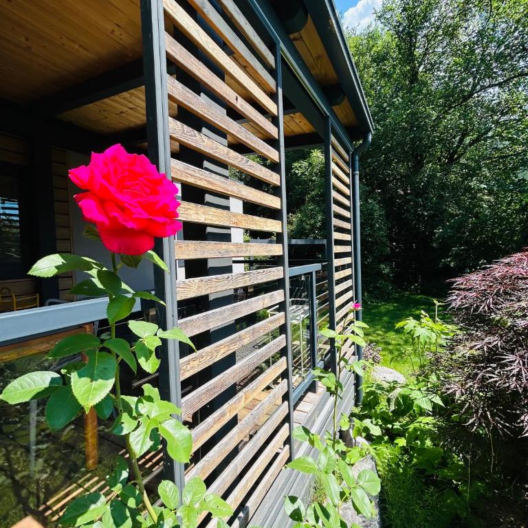 Garden Lodge Obervellach - Maison 2 Chambres - 21