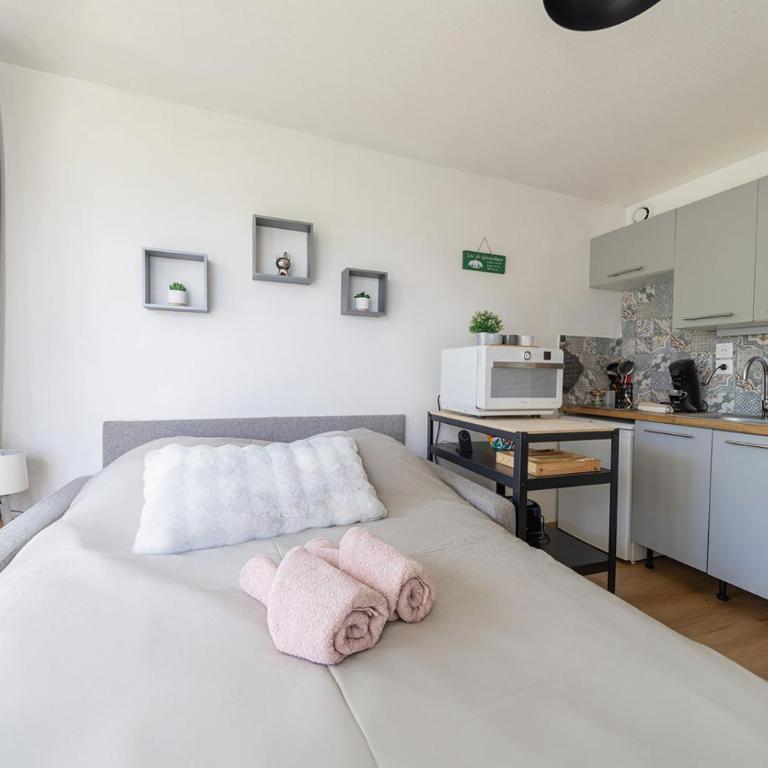 Studio avec terrasse et vue sur les Vosges - Gérardmer - Appartement - 24
