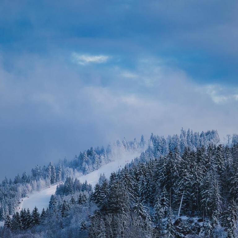 Studio avec terrasse et vue sur les Vosges - Gérardmer - Appartement - 16