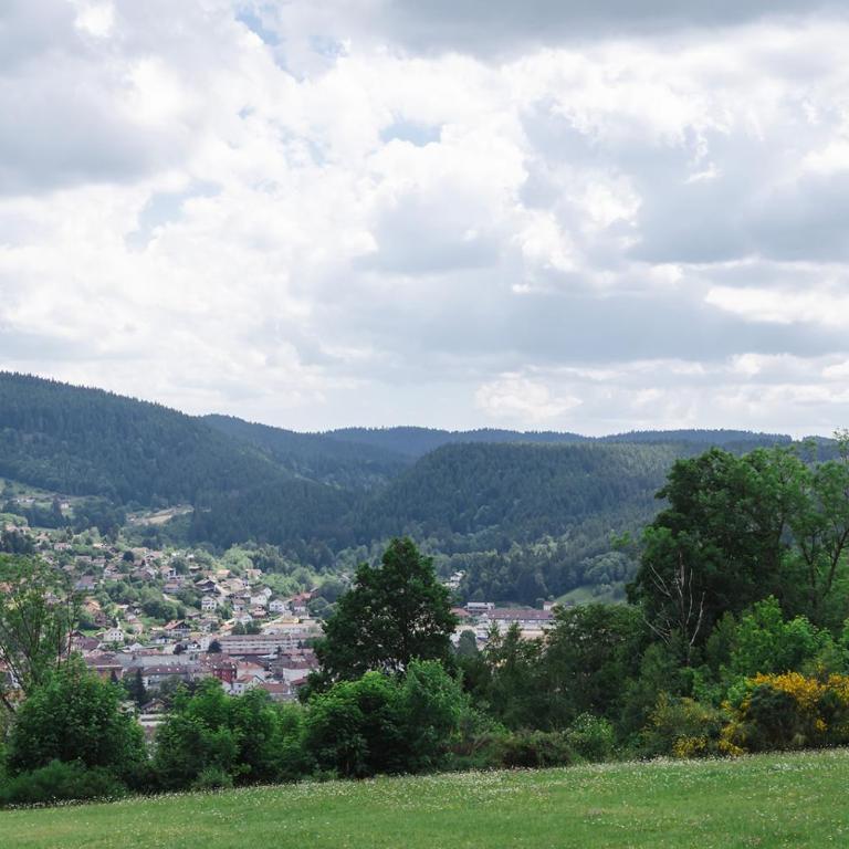Studio avec terrasse et vue sur les Vosges - Gérardmer - Appartement - 18