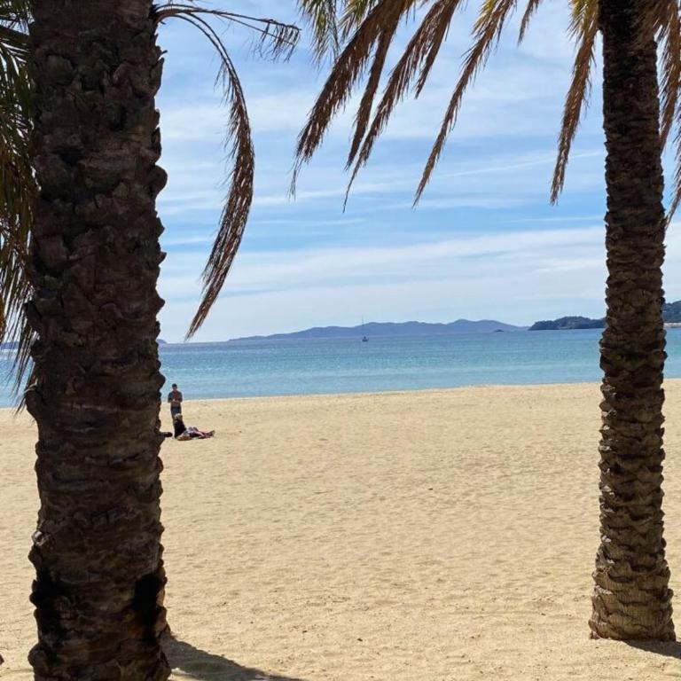 T2 200m from Lavandou beach classified 3 - Apartamento de 1 dormitorio - 8