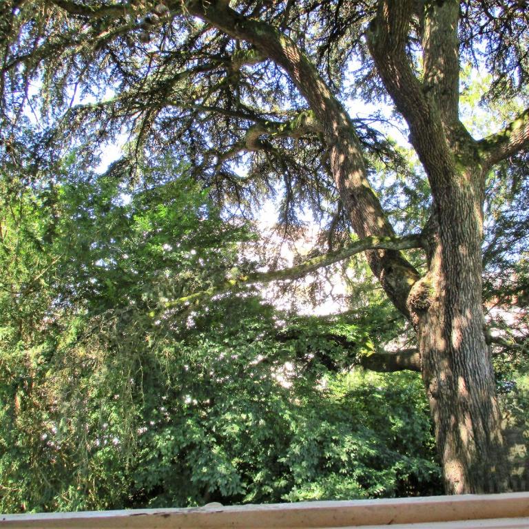 LIMOGES centre, parking, pour 3pers max ! - Two-Bedroom Apartment with Garden View - 2