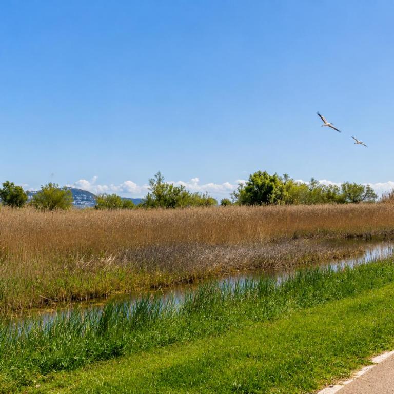 Port DUCAL-Apartamento en la PLAYA de la Rubina , maravillosas VISTAS - Monolocale Deluxe - 13