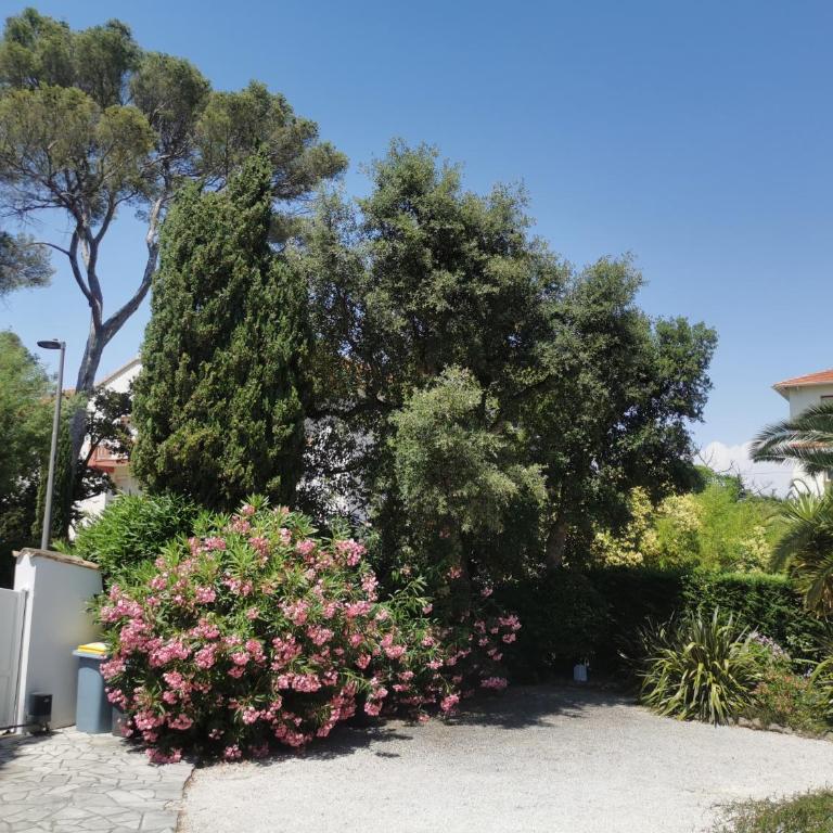 Lou Pitchoun - Appartamento con 1 Camera da Letto - 4