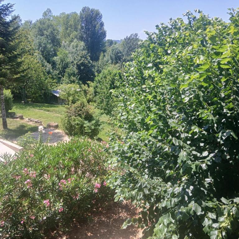 Gite Atchoum - Apartamento de 1 dormitorio - 1