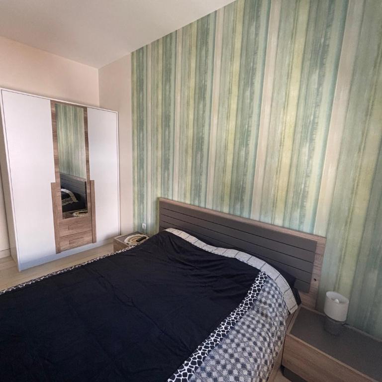 Aleksandar's Delux apartment - Apartman sa 1 Spavaćom Sobom - 12