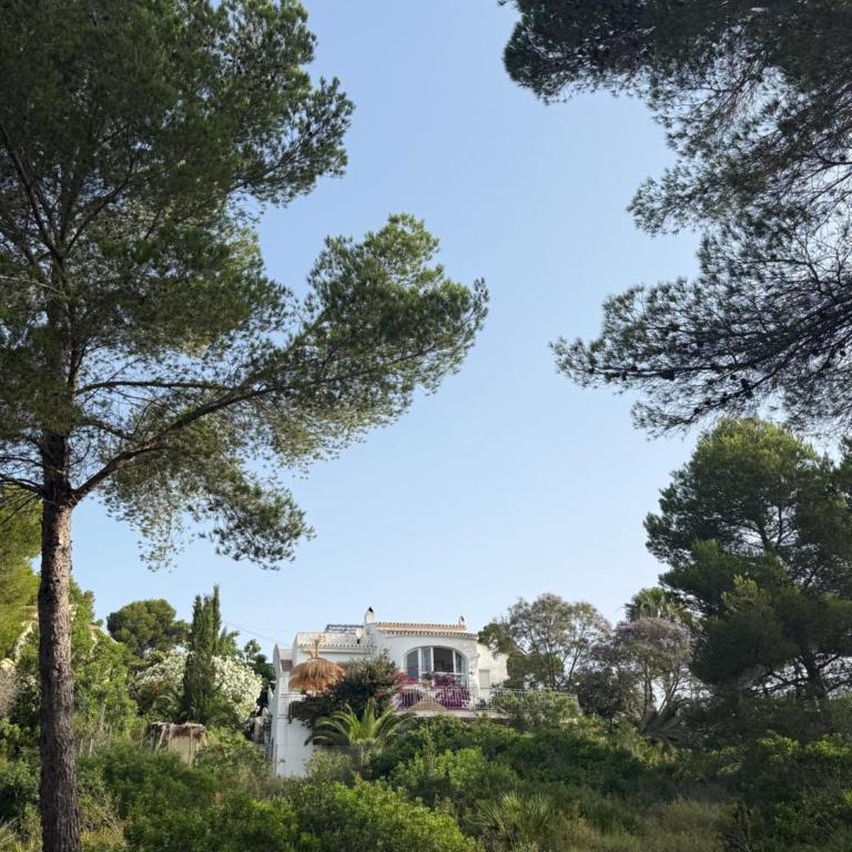 Art Villa Xabia - Villa mit 3 Schlafzimmern - 18
