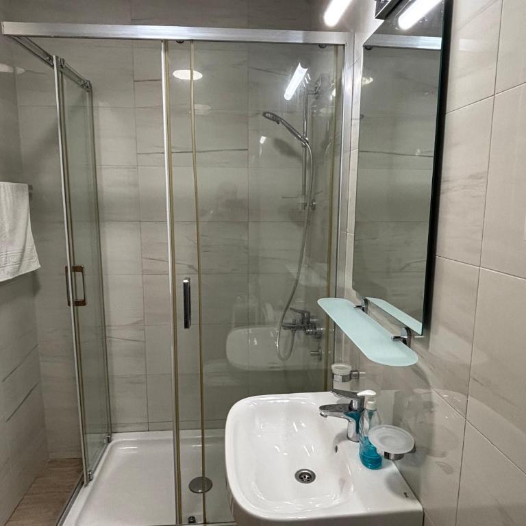 Aleksandar's Delux apartment - Apartman sa 1 Spavaćom Sobom - 13