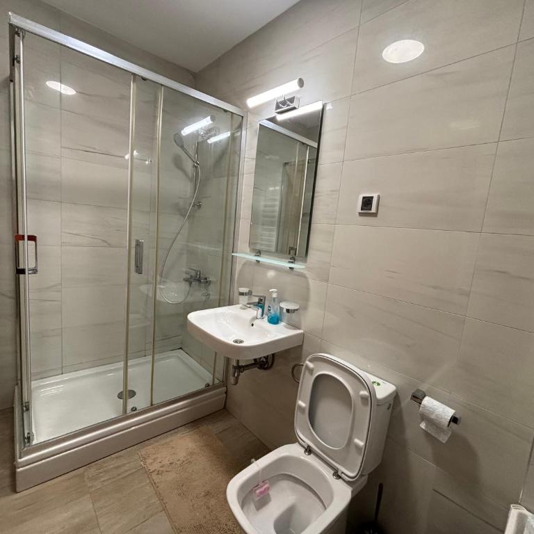 Aleksandar's Delux apartment - Apartman sa 1 Spavaćom Sobom - 14