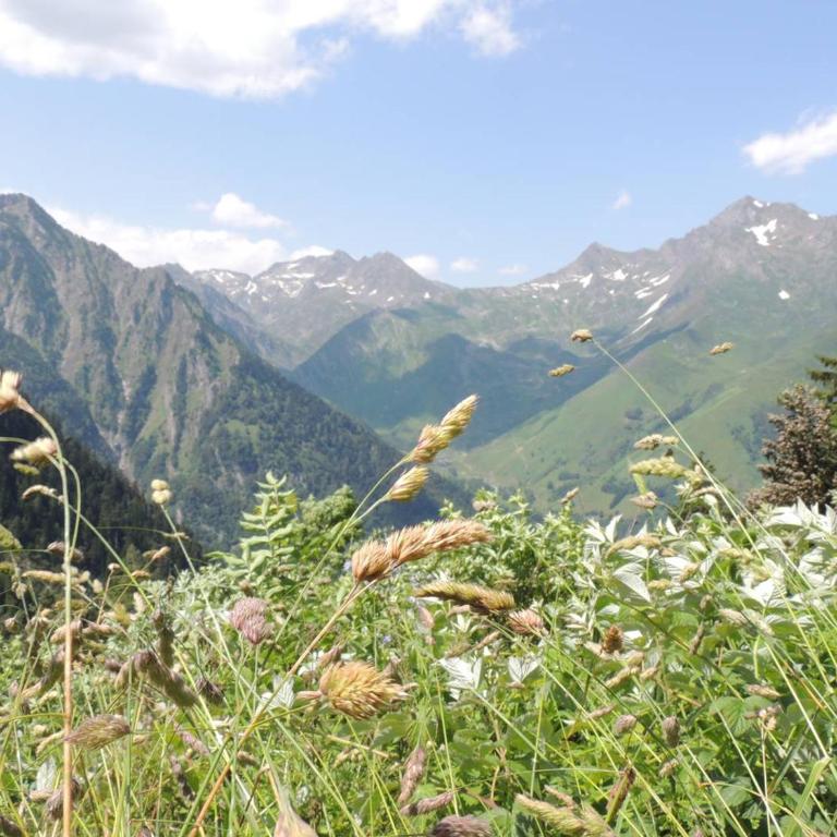 Appartement 4/6 pers - Résidence centre ville Cauterets - FR-1-234-301 - Apartment - 19