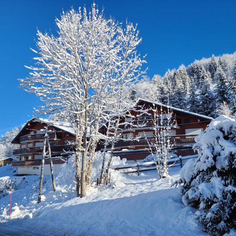 Studio 3 étoiles Les Helianthes, Wifi, Garage - Studio with Mountain View - 23