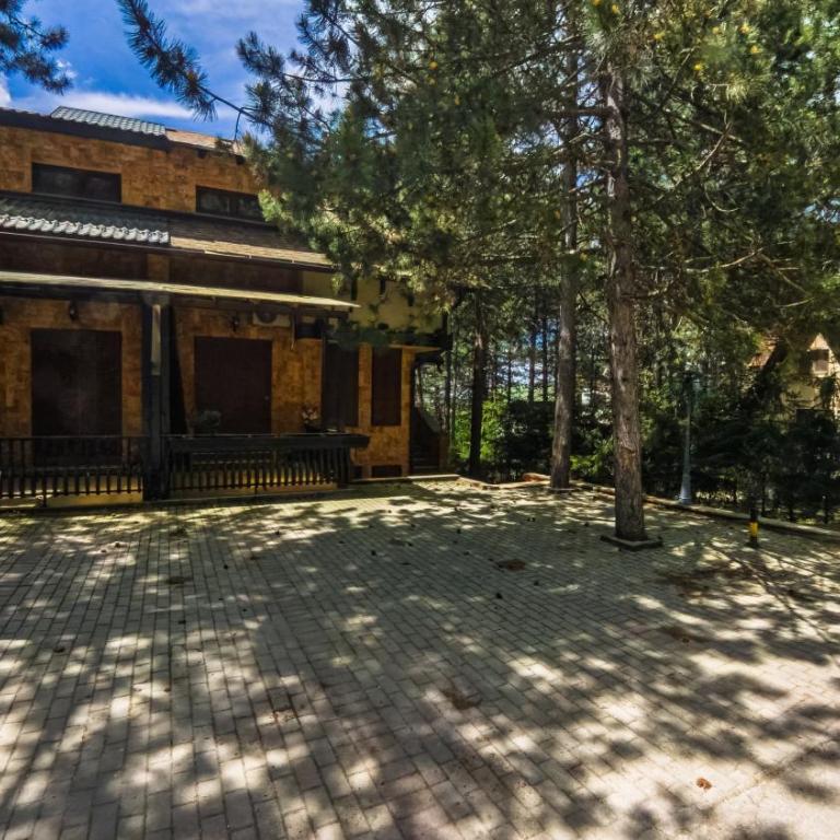Apartman Djurkovic Zlatibor - Apartment mit 1 Schlafzimmer - 2