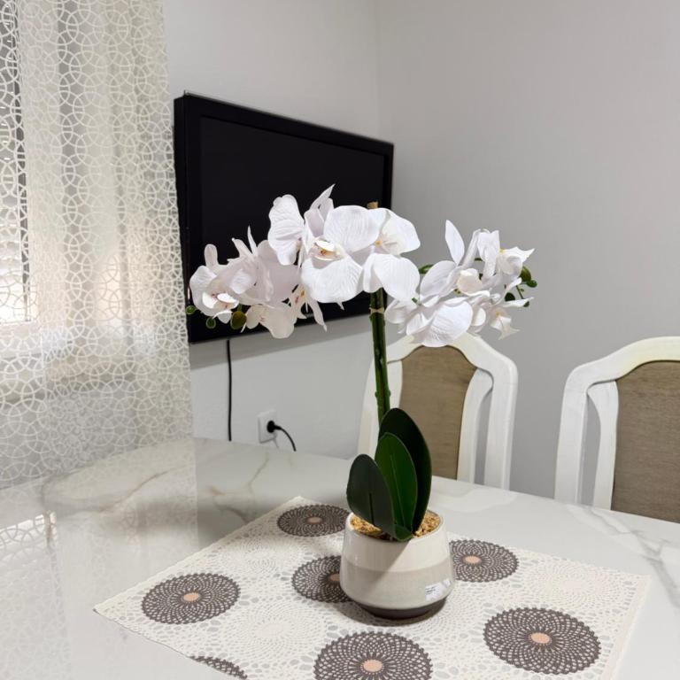 Apartments Ana - Airport shuttle option - Apartment mit 1 Schlafzimmer - 3