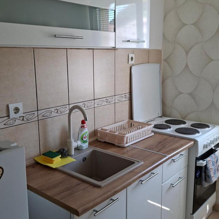 Apartment Milica - Apartman sa Balkonom - 16