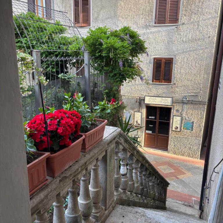 Vicolo dell'Orto - Casa con 1 Camera da Letto - 21