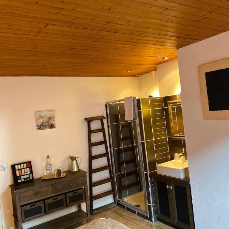 La Jument Verte Chambres d'Hôtes Aix-les-Bains - Chambre Double ou Lits Jumeaux avec Salle de Bains Privative - 3