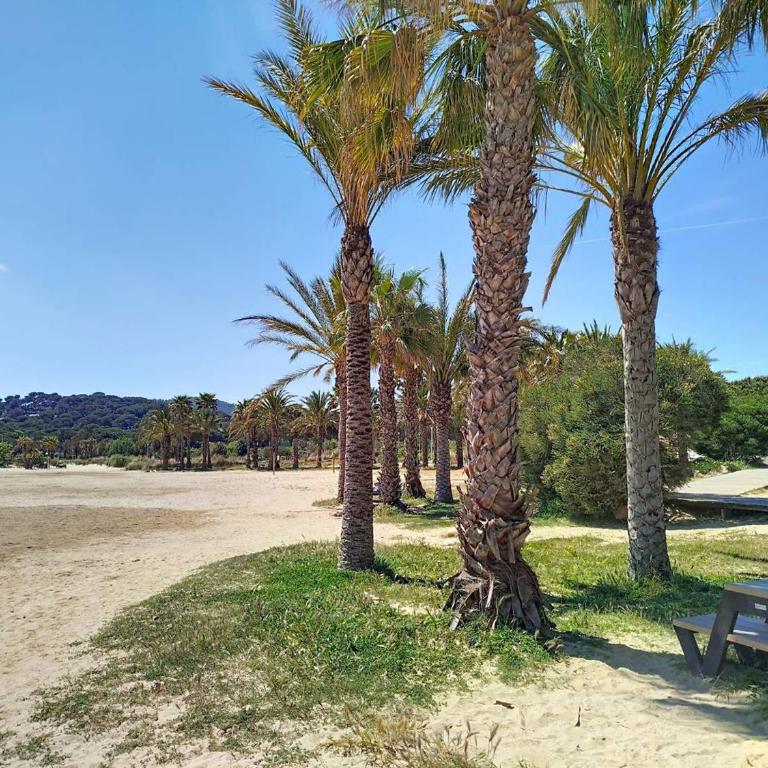 T2 cabine proche plages et commerces avec garage à Bormes-les-Mimosas - FR-1-610-60 - Apartamento (6 adultos) - 16