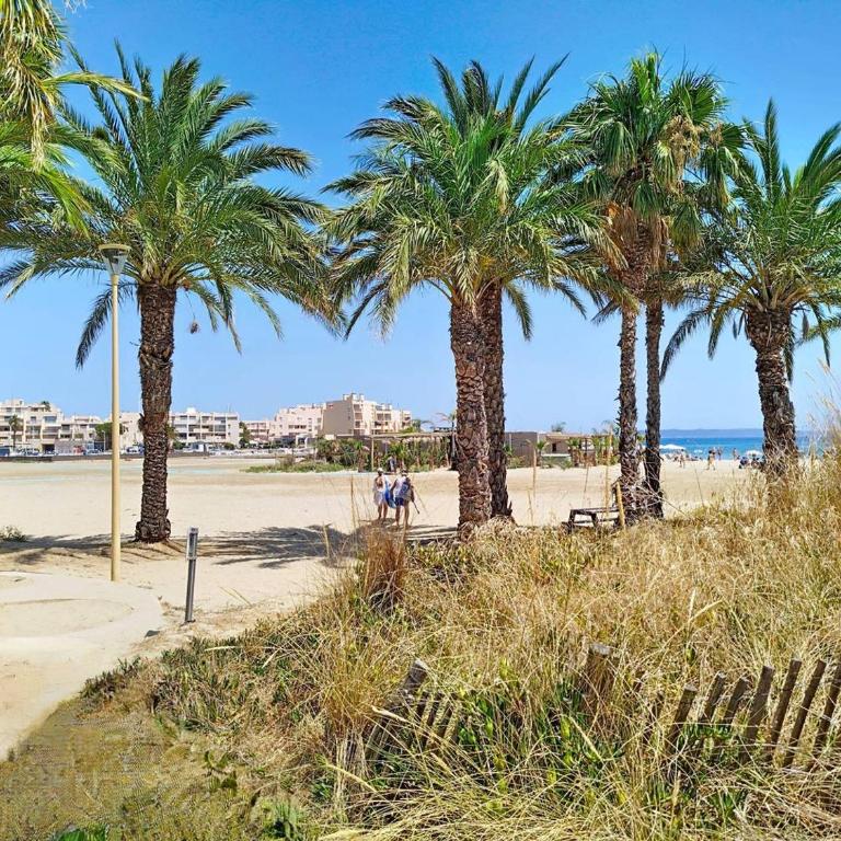 Studio climatisé avec grande terrasse à Bormes - FR-1-610-109 - Studio - 18