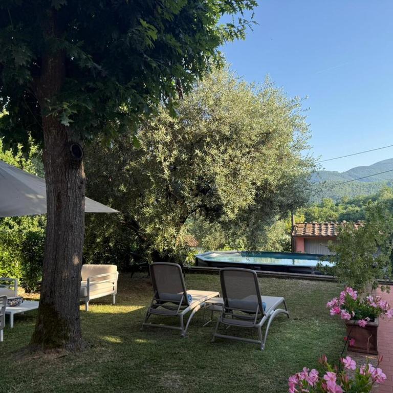 The Olive House - Casa con 4 camere da letto - 4