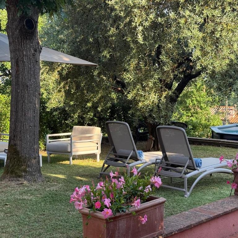 The Olive House - Casa con 4 camere da letto - 6