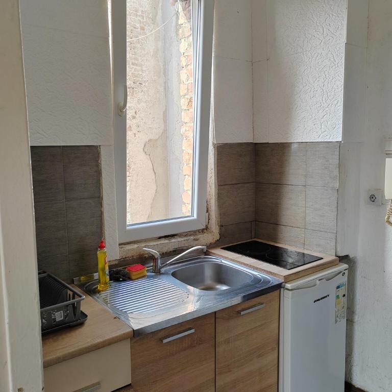 Belgrade Friends apartment - City center - One-Bedroom Apartment - 5