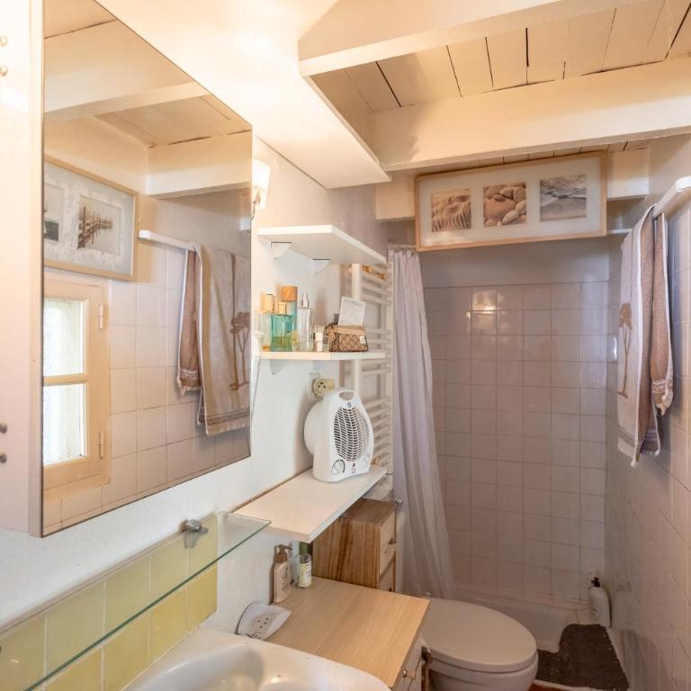Cabane de gardian aux Saintes Maries de la Mer - Maison 1 Chambre - 8