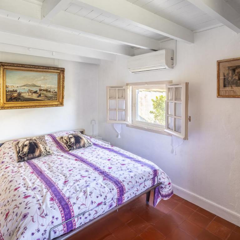 Cabane de gardian aux Saintes Maries de la Mer - Maison 1 Chambre - 9