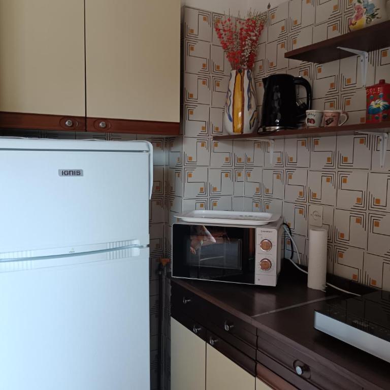 Casa Pesio Retrò - Appartamento con 1 Camera da Letto - 17