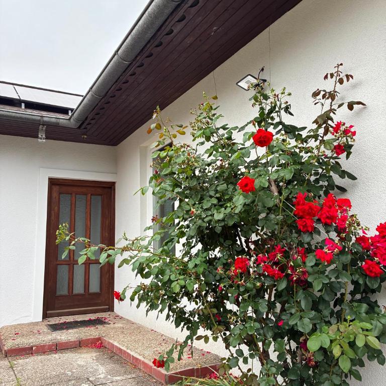 Eichbachgasse 38 - Bungalow mit 3 Schlafzimmern - 9