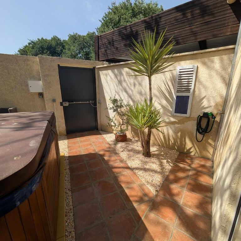 gîte Les Palmiers - Maison 1 Chambre - 26