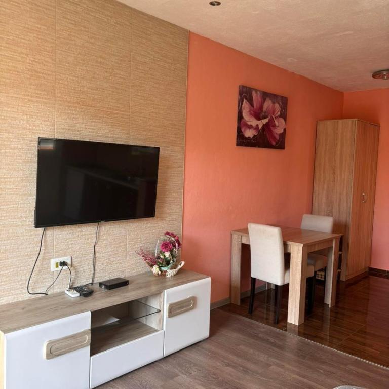 Apartmani Zecevic - Studio Apartment - 5