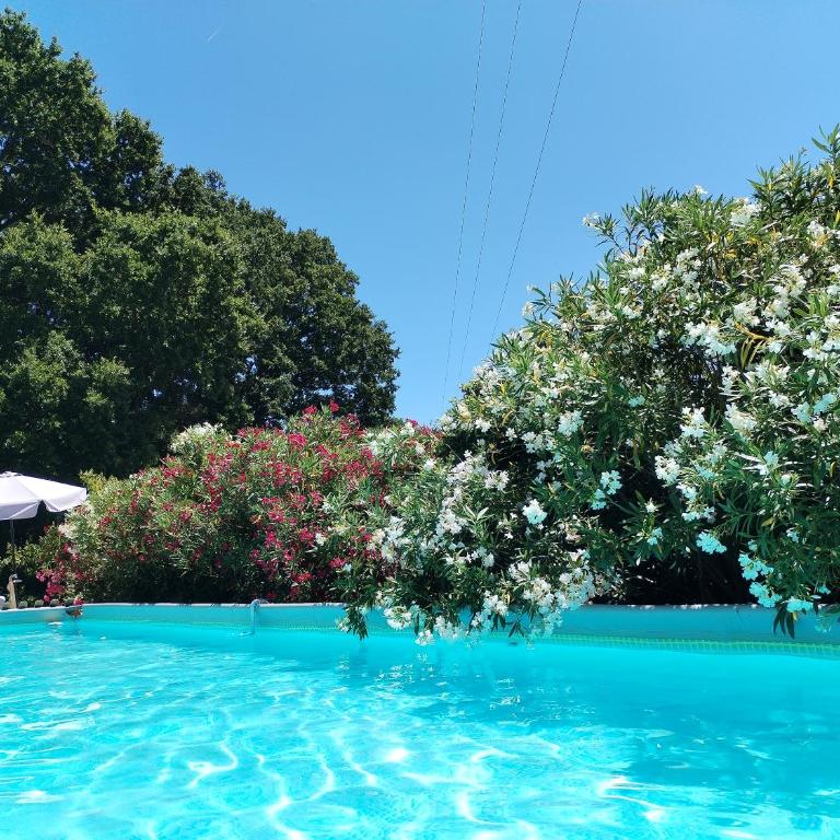 Trulli con piscina privata - Casa con 4 camere da letto - 12