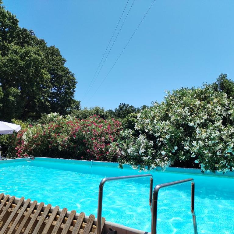 Trulli con piscina privata - Casa con 4 camere da letto - 19